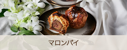 ޥѥ