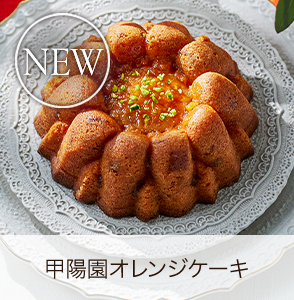 ۱४󥸥NEW