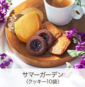 ޡǥʥå10ޡ