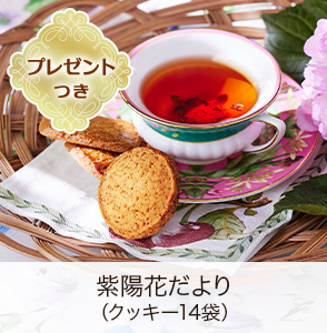 ۲֤ʥå14ޡˡڥץ쥼ȤĤ