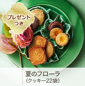 ƤΥեʥå22ޡˡڥץ쥼ȤĤ