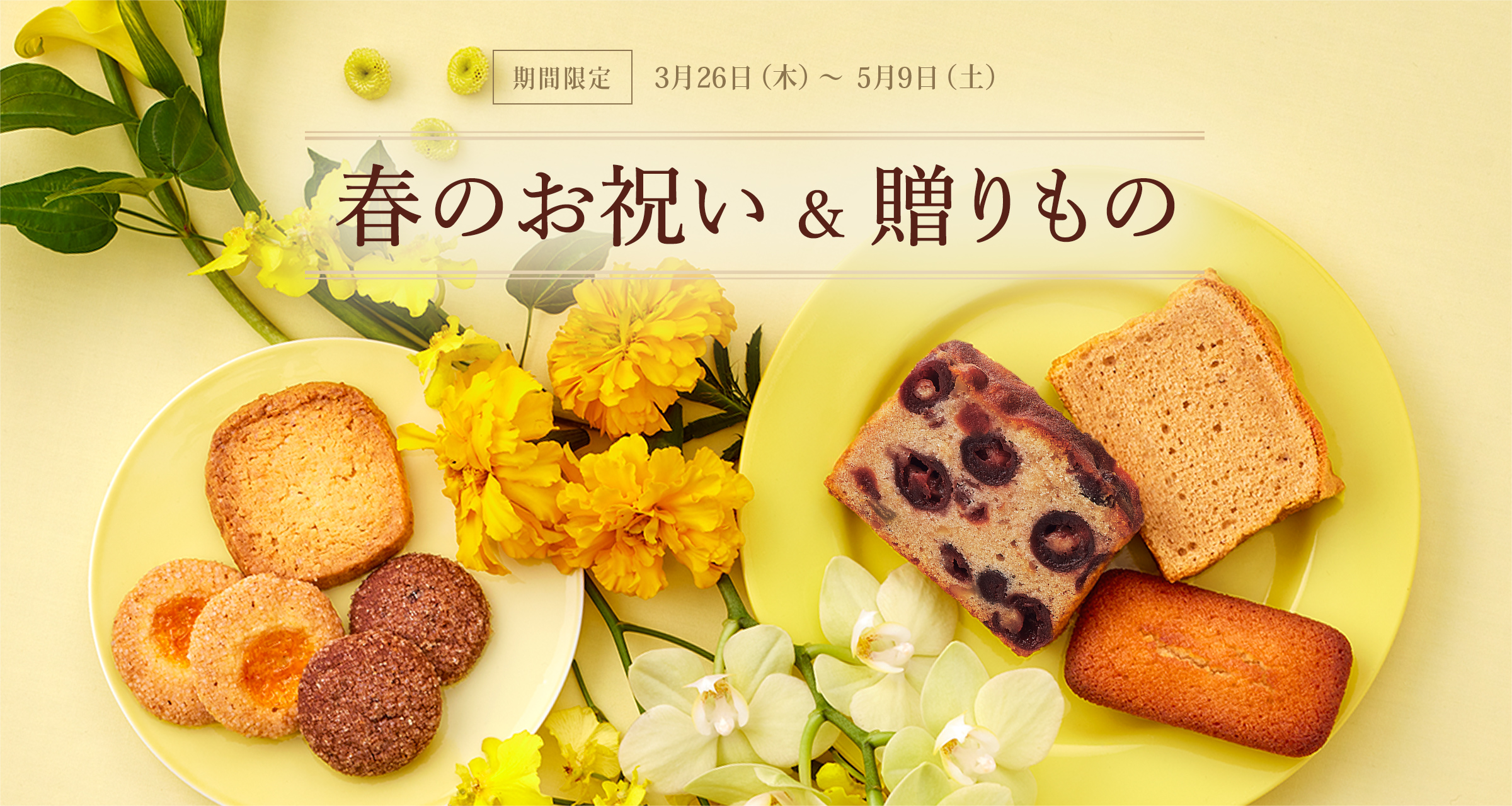 �դΤ��ˤ���£���Ρ����ָ��� 3��26�����ڡˏ��5��9�����ڡ�