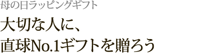 ̓bsOMtgF؂ȐlɁANo.1Mtg𑡂낤