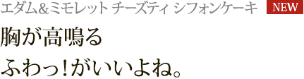 G_~bg `[YeB VtHP[L [NEW]F ӂIˁB