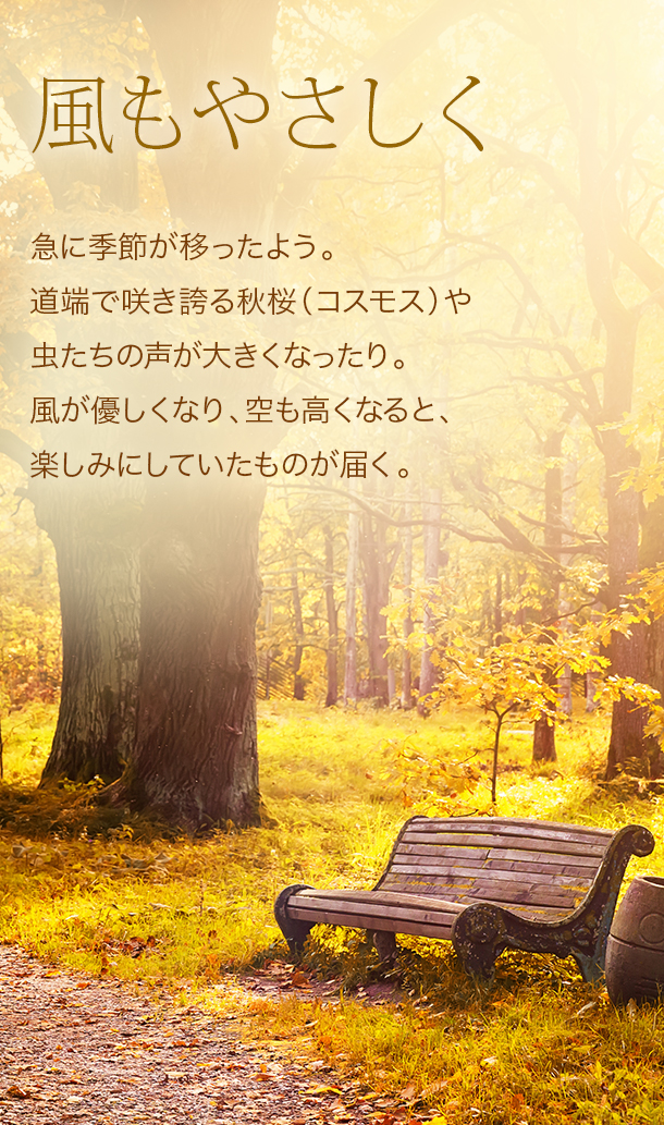 ������䤵�����۵ޤ˵��᤬�ܤä��褦��ƻü�Ǻ餭�ؤ뽩���ʥ����⥹�ˤ�����������礭���ʤä��ꡣ����ͥ�����ʤꡢ����⤯�ʤ�ȡ��ڤ��ߤˤ��Ƥ�����Τ��Ϥ���