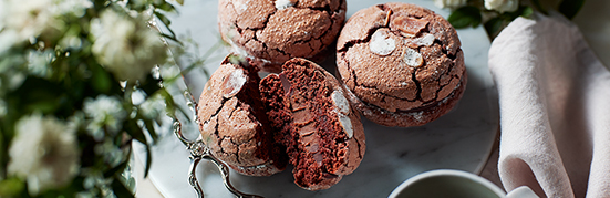 ���󥯥ȡ������