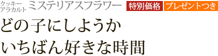 ���å������饫��� �ߥ��ƥꥢ���ե�[���̲��ʡ��ץ쥼��ȤĤ�]���ɤλҤˤ��褦�������Ф󹥤��ʻ���