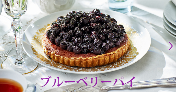 �֥롼�٥꡼�ѥ�