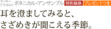 ���å������饫��� �ܥ��˥��롦���󥵥�֥�[���̲��ʡ��ץ쥼��ȤĤ�]���������ޤ��Ƥߤ�ȡ������᤭��ʹ�����뵨�ᡣ