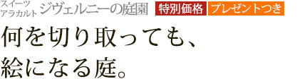�������ĥ��饫��� ��������ˡ�������[���̲��ʡ��ץ쥼��ȤĤ�]�������ڤ��äƤ⡢���ˤʤ�����