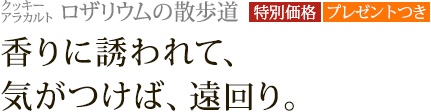 ���å������饫��� �����ꥦ��λ���ƻ[���̲��ʡ��ץ쥼��ȤĤ�]������Ͷ���ơ������Ĥ��С����ꡣ