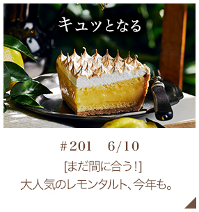 [ޤ֤˹礦] ͵Υ󥿥ȡǯ#201 610