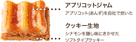 プチフールコレクション こだわりクローズアップ ケーキハウス ツマガリオンラインショップ