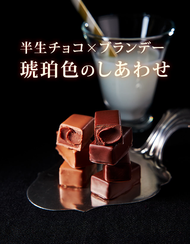 ミルヒショコラーデ＆シュバルツ ショコラーデ：半生チョコ×ブランデー琥珀色のしあわせ