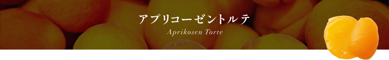 ץꥳȥ Aprikosen Torte