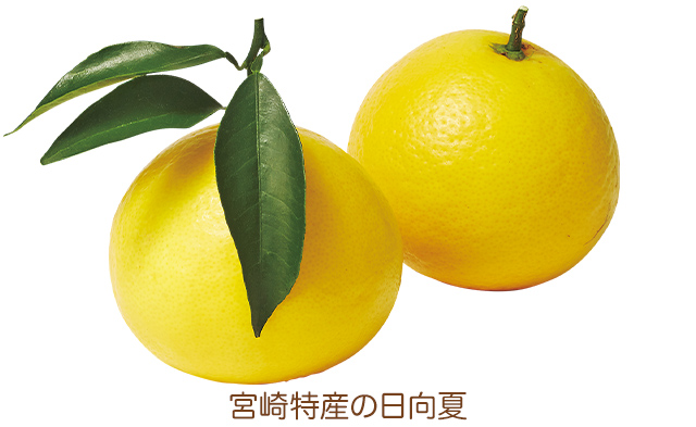 ܺû