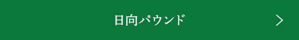 ѥ