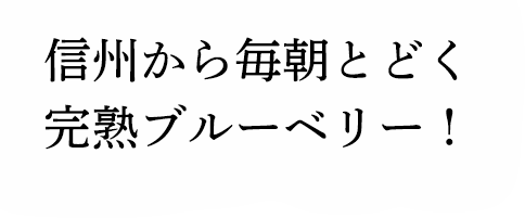 īȤɤϥ֥롼٥꡼
