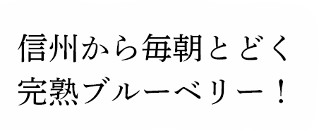 īȤɤϥ֥롼٥꡼