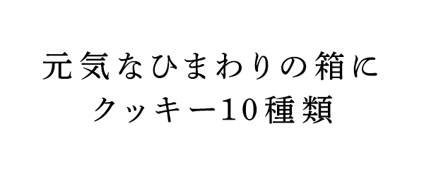 ʤҤޤȢ˥å10