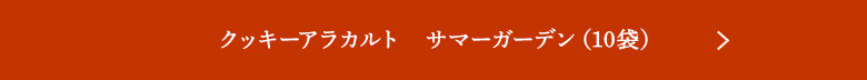 å饫 ޡǥ10ޡ
