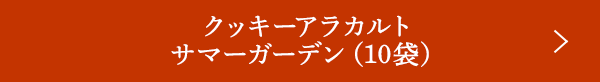 å饫 ޡǥ10ޡ