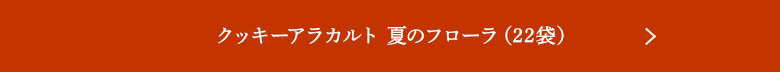 å饫 ƤΥե22ޡ