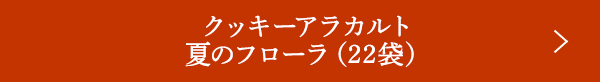 å饫 ƤΥե22ޡ