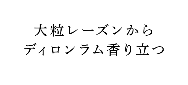 γ졼󤫤ǥΩ