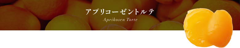 ץꥳȥ Aprikosen Torte