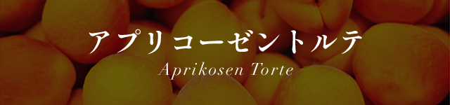 ץꥳȥ Aprikosen Torte