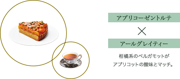 Υץꥳȥ ✕ 륰쥤ƥϴ̷ϤΥ٥륬åȤץꥳåȤλ̣ȥޥå