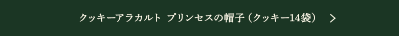 å饫 ץ󥻥˹ҡʥå14ޡ