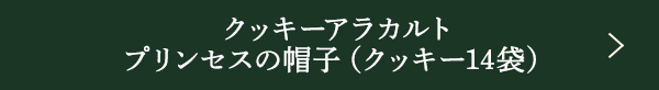 å饫 ץ󥻥˹ҡʥå14ޡ