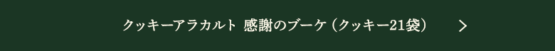 å饫 դΥ֡ʥå21ޡ