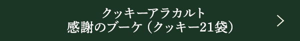 å饫 դΥ֡ʥå21ޡ