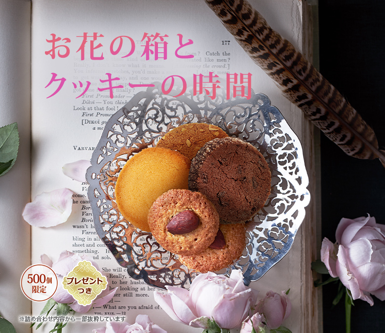 å饫 ֥롼ե롧֤Ȣȥåλ֡500ĸꡦץ쥼ȤĤۢͤ碌Ƥȴ褷Ƥޤ