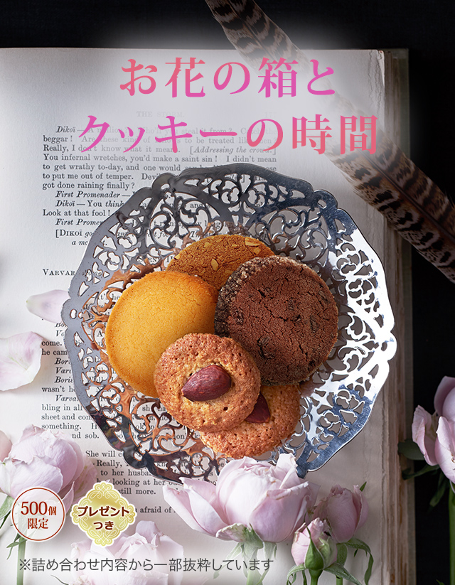 å饫 ֥롼ե롧֤Ȣȥåλ֡500ĸꡦץ쥼ȤĤۢͤ碌Ƥȴ褷Ƥޤ