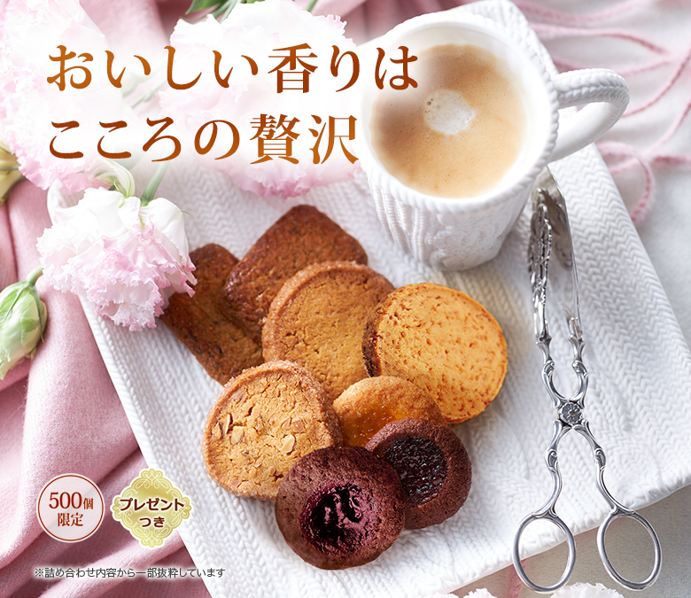 å饫 ȥʤβֱࡧϤ500ĸꡦץ쥼ȤĤۢͤ碌Ƥȴ褷Ƥޤ