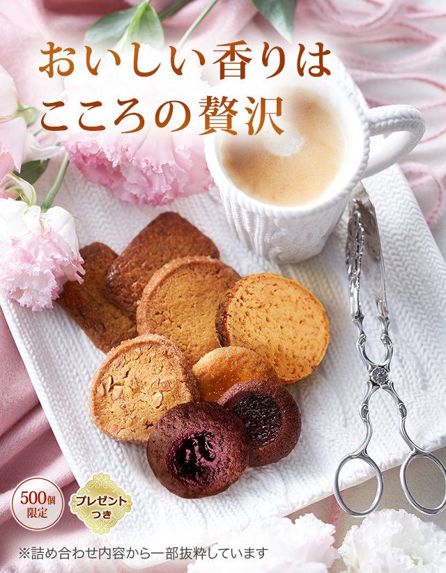 å饫 ȥʤβֱࡧϤ500ĸꡦץ쥼ȤĤۢͤ碌Ƥȴ褷Ƥޤ