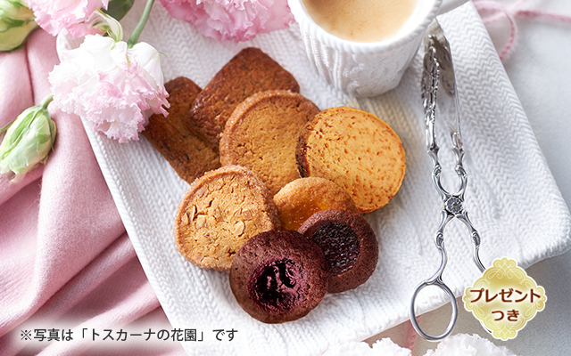 ȥʤβֱڥץ쥼ȤĤ