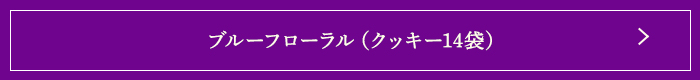 ֥롼եʥå14ޡ