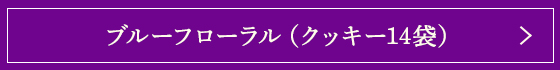֥롼եʥå14ޡ