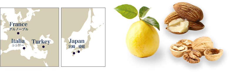 衼åѤϿޡܤϿ