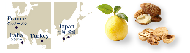 衼åѤϿޡܤϿ