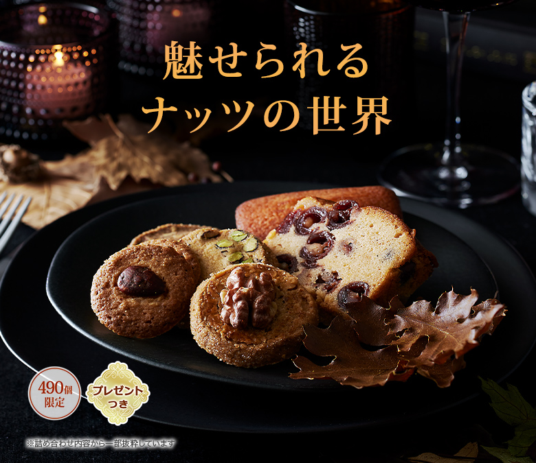 25ڤμ¤Υ饫ȡ̥ʥåĤ490ĸꡦץ쥼ȤĤ