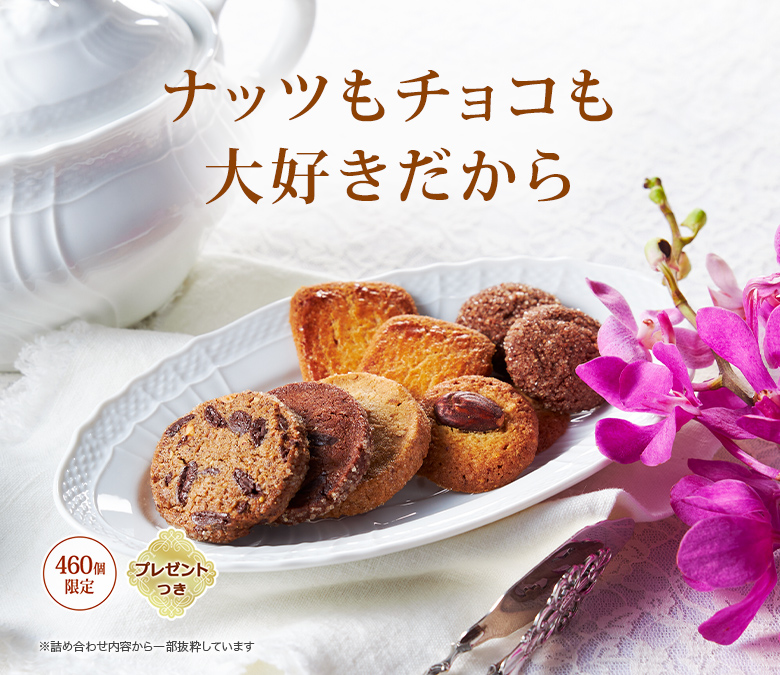 å饫 ǥѡƥʥåĤ祳繥460ĸꡦץ쥼ȤĤۢͤ碌Ƥȴ褷Ƥޤ