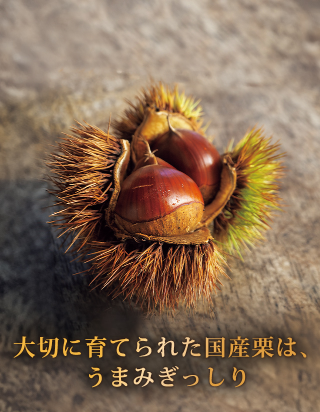 ڤ˰Ƥ줿񻺷ϡޤߤä