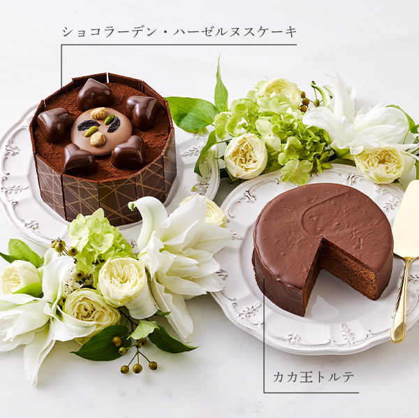 ���祳�顼�ǥ󡦥ϡ�����̥����������������ȥ��