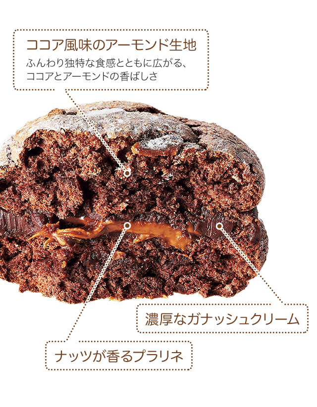 ����������̣�Υ����������ϡ��դ������äʿ����ȤȤ�˹����롢�������ȥ������ɤι�Ф����� ��ǻ���ʥ��ʥå��奯�꡼�ࡣ ���ʥåĤ����ץ���